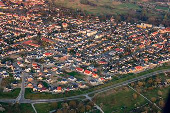 Vue aérienne de Forstlandallee à Jockgrim dans le département Rhénanie-Palatinat, Allemagne