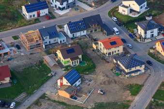 Bague pour oiseau à Jockgrim dans le département Rhénanie-Palatinat, Allemagne d'en haut