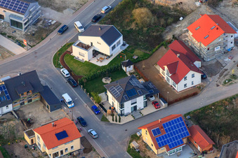 Vue aérienne de Bague d'oiseau x Chemin des hiboux à Jockgrim dans le département Rhénanie-Palatinat, Allemagne