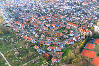 Vue aérienne de Rue des Orchidées et Anneau des Fleurs à Jockgrim dans le département Rhénanie-Palatinat, Allemagne