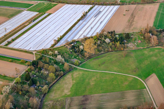 Vue aérienne de Jardins du Rheinzaberner Randgraben à Rheinzabern dans le département Rhénanie-Palatinat, Allemagne