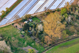 Vue aérienne de Jardins du Rheinzaberner Randgraben à Rheinzabern dans le département Rhénanie-Palatinat, Allemagne