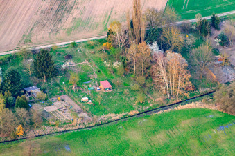 Photographie aérienne de Jardins du Rheinzaberner Randgraben à Rheinzabern dans le département Rhénanie-Palatinat, Allemagne