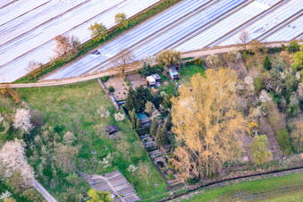 Jardins du Rheinzaberner Randgraben à Rheinzabern dans le département Rhénanie-Palatinat, Allemagne d'en haut