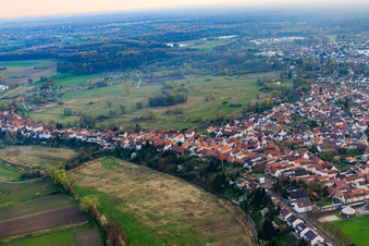 Vue aérienne de Ludwigstraße x Stegenberg à Jockgrim dans le département Rhénanie-Palatinat, Allemagne