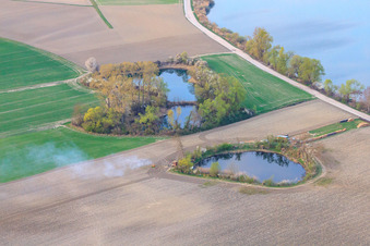 Vue aérienne de Étang de pêche sur le Vieux Rhin près de Neupotz à Jockgrim dans le département Rhénanie-Palatinat, Allemagne