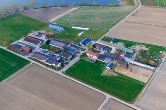 Vue aérienne de Marketing direct Burgerhof Neupotz et Jägerhof à Neupotz dans le département Rhénanie-Palatinat, Allemagne