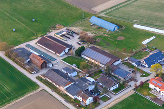 Vue oblique de Marketing direct Burgerhof Neupotz et Jägerhof à Neupotz dans le département Rhénanie-Palatinat, Allemagne