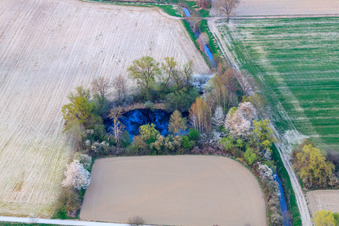 Vue aérienne de Étang de pêche sur le Vieux Rhin près de Neupotz à Leimersheim dans le département Rhénanie-Palatinat, Allemagne