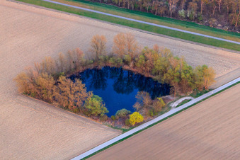 Vue aérienne de Étang de pêche sur le barrage du Rhin à Leimersheim dans le département Rhénanie-Palatinat, Allemagne