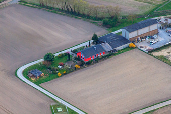 Vue aérienne de Grünpunkt et le professionnel du gazon artificiel à Rheinzabern dans le département Rhénanie-Palatinat, Allemagne