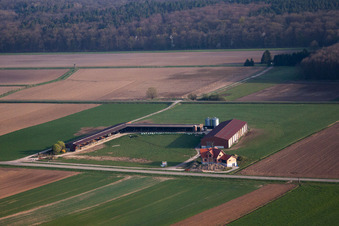 Schleithal dans le département Bas Rhin, France vue d'en haut