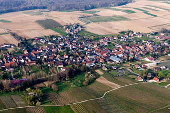Photographie aérienne de Champs agricoles et terres agricoles à Steinseltz dans le département Bas Rhin, France