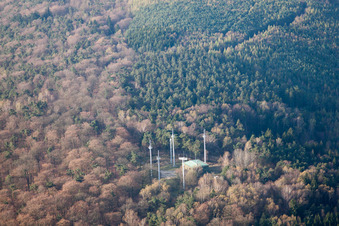 Cleebourg dans le département Bas Rhin, France hors des airs