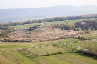 Gunstett dans le département Bas Rhin, France depuis l'avion