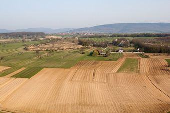 Vue aérienne de Gunstett à Gunstett dans le département Bas Rhin, France