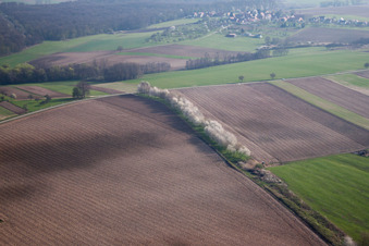 Vue oblique de Surbourg dans le département Bas Rhin, France