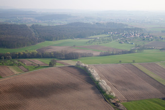 Surbourg dans le département Bas Rhin, France d'en haut