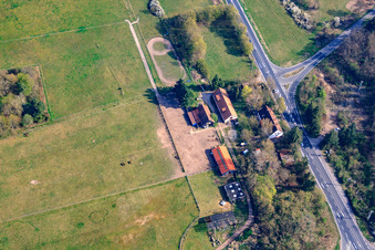 Photographie aérienne de Ancienne maison forestière du Bienwald : Langenberg à Wörth am Rhein dans le département Rhénanie-Palatinat, Allemagne