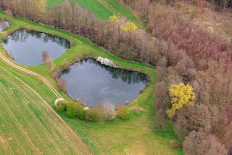 Photographie aérienne de Étangs à poissons sur l'Erbach à le quartier Sondheim in Mellrichstadt dans le département Bavière, Allemagne