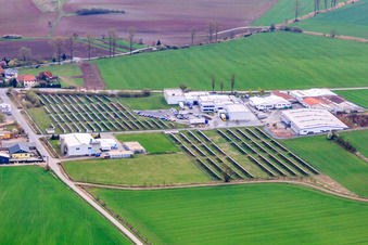 Vue aérienne de Installations photovoltaïques agricoles dans le parc industriel avec Bedien-Concept GmbH et EMS Straufhain GmbH, usines électriques et métalliques à le quartier Streufdorf in Straufhain dans le département Thuringe, Allemagne