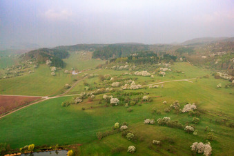 Vue aérienne de Arbres fruitiers en fleurs dans les prairies à Sulzdorf an der Lederhecke dans le département Bavière, Allemagne