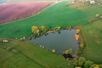 Vue aérienne de Étang entre les prairies à Sulzdorf an der Lederhecke dans le département Bavière, Allemagne
