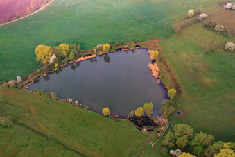 Vue aérienne de Étang entre les prairies à Sulzdorf an der Lederhecke dans le département Bavière, Allemagne