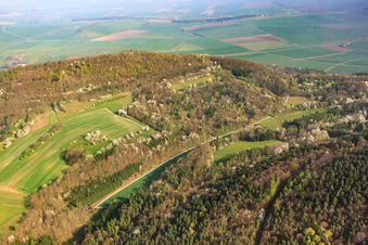 Vue aérienne de Arbres fruitiers en fleurs dans une clairière à Sulzdorf an der Lederhecke dans le département Bavière, Allemagne