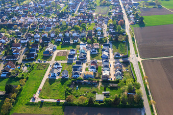 Vue aérienne de Nouvelle zone de développement Est (Im Holderbusch) à Minfeld dans le département Rhénanie-Palatinat, Allemagne