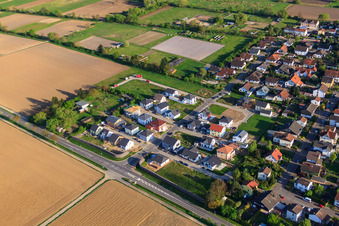 Image drone de Nouvelle zone de développement Est (Im Holderbusch) à Minfeld dans le département Rhénanie-Palatinat, Allemagne