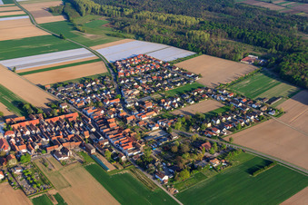 Vue aérienne de Nikolausstraße vers Hatzenbühl à le quartier Hayna in Herxheim bei Landau dans le département Rhénanie-Palatinat, Allemagne