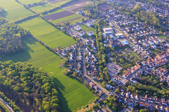 Enregistrement par drone de Rue Albert-Detzel à Herxheim bei Landau dans le département Rhénanie-Palatinat, Allemagne