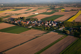 Niederlauterbach dans le département Bas Rhin, France du point de vue du drone