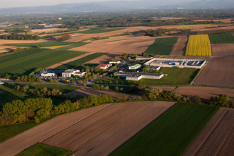 Scheibenhard dans le département Bas Rhin, France d'en haut