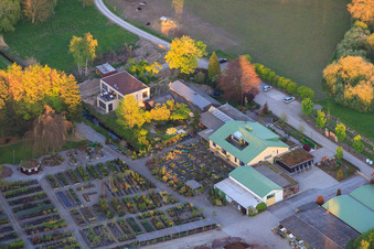 Vue oblique de Pépinière Bienwald et GREENTEC GmbH GbR à Berg dans le département Rhénanie-Palatinat, Allemagne