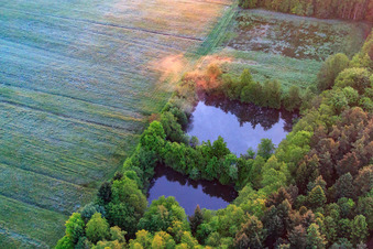 Vue aérienne de Étang de pêche dans l'Otterbachtal en bordure du Bienwald à Minfeld dans le département Rhénanie-Palatinat, Allemagne