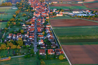 Vue aérienne de Vue du village le matin depuis l'est à Freckenfeld dans le département Rhénanie-Palatinat, Allemagne