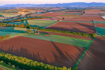 Vue d'oiseau de Aérodrome modèle du club de modélisme Freckenfeld eV à Freckenfeld dans le département Rhénanie-Palatinat, Allemagne