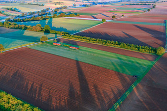 Aérodrome modèle du club de modélisme Freckenfeld eV à Freckenfeld dans le département Rhénanie-Palatinat, Allemagne vue du ciel