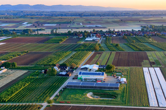 Vue aérienne de Le jardin de Bauer vu du sud le matin à Winden dans le département Rhénanie-Palatinat, Allemagne