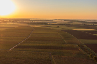 Vue aérienne de Lever de soleil sur le village à Steinweiler dans le département Rhénanie-Palatinat, Allemagne