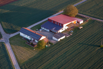 Billigheim-Ingenheim dans le département Rhénanie-Palatinat, Allemagne hors des airs