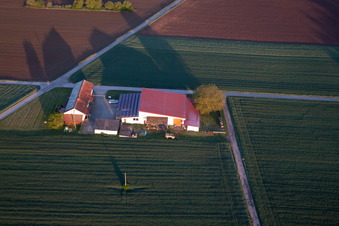 Billigheim-Ingenheim dans le département Rhénanie-Palatinat, Allemagne depuis l'avion