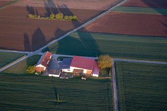 Vue d'oiseau de Billigheim-Ingenheim dans le département Rhénanie-Palatinat, Allemagne