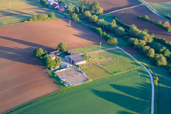 Vue aérienne de Enclos à chevaux autour du Birkenhof à Impflingen dans le département Rhénanie-Palatinat, Allemagne