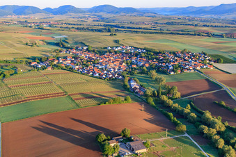 Vue aérienne de Vue du village le matin depuis l'est à Impflingen dans le département Rhénanie-Palatinat, Allemagne