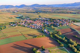 Vue aérienne de Vue du village le matin depuis l'est à Impflingen dans le département Rhénanie-Palatinat, Allemagne