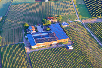 Vue aérienne de Gertrudenhof à Impflingen dans le département Rhénanie-Palatinat, Allemagne