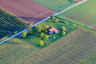 Vue aérienne de Grill hut Impflingen sur la B38 à Impflingen dans le département Rhénanie-Palatinat, Allemagne